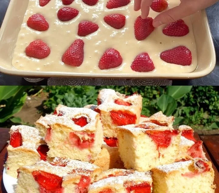 Erdbeer Joghurtkuchen mit frischen Erdbeeren und Joghurtcreme
