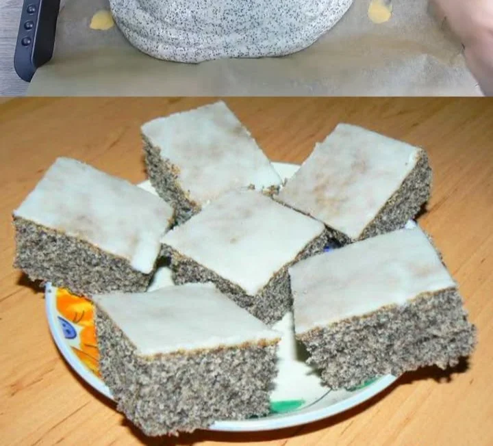 Quark-Mohn-Kuchen auf einem Teller, dekoriert mit Puderzucker.