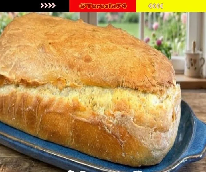 Eine Scheibe Turbo-Brot, knusprig und frisch gebacken, bereit zum Genießen.