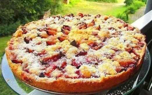 Zwetschgenkuchen mit Vanillepudding auf einem Teller serviert