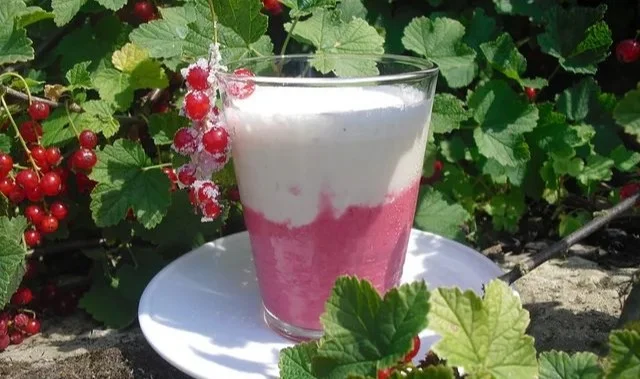 Johannisbeer-Vanille-Shake mit frischen Johannisbeeren und cremigem Vanilleeis.