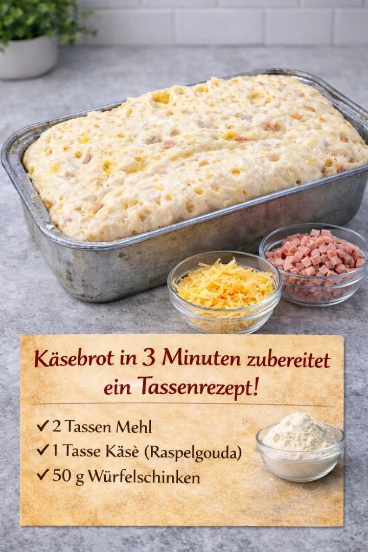 Käsebrot in 3 Minuten zubereiten mit frischem Brot und Käse