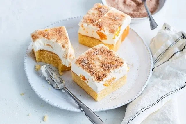 Köstlicher Mandarinenkuchen, frisch gebacken und dekoriert mit Mandarinen
