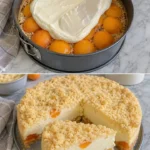 Leckerer Aprikosen-Quarkkuchen auf einem Teller