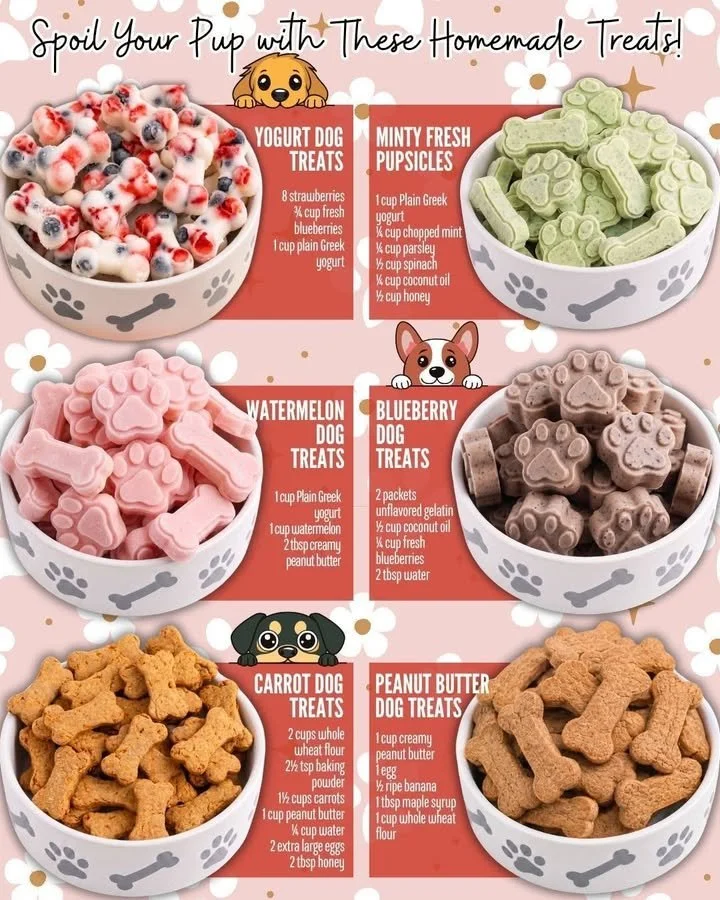 Köstliche Joghurt-Hundeleckerlies für gesunde Hunde