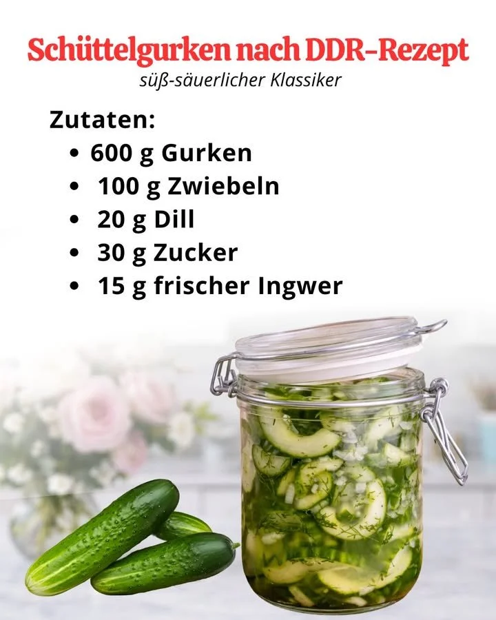 Hausgemachte eingelegte Gurken in einem Einmachglas