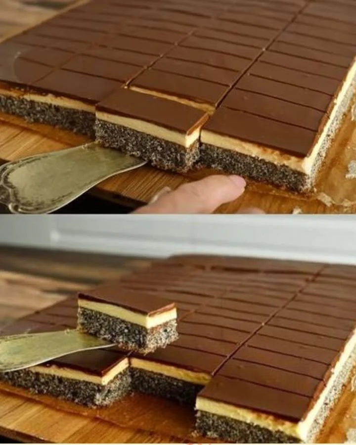 Mohnkuchen mit Puddingcreme und Schokoglasur auf einem Teller