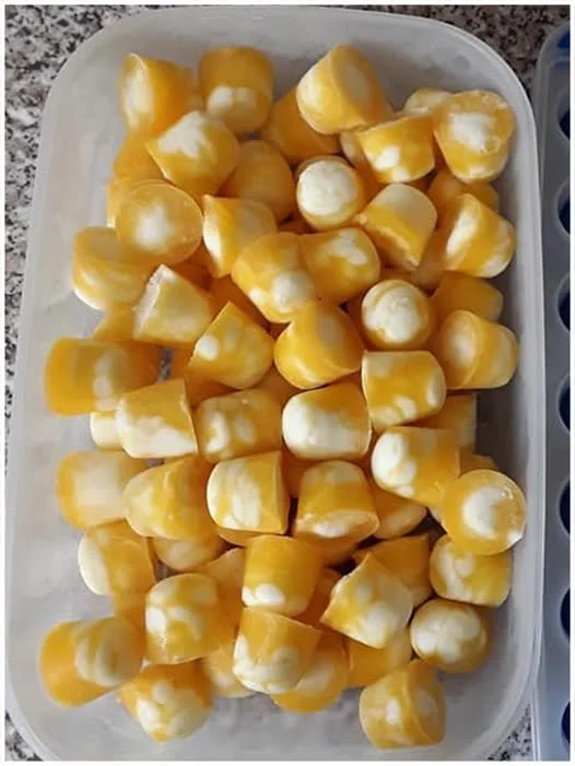 Orangen Eiskonfekt auf einem Teller mit frischen Orangen und Schokolade