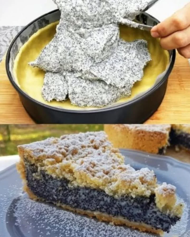 Mohnkuchen mit Magerquark und Puddingpulver auf einem Teller